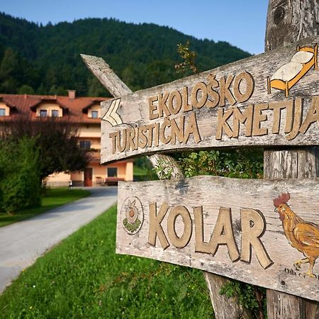 Tourist farm Kolar Villa Ljubno Exteriör bild