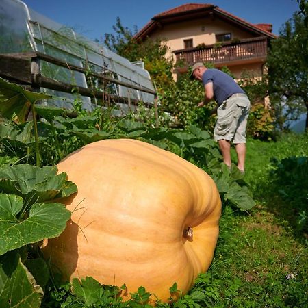 Tourist farm Kolar Villa Ljubno Exteriör bild