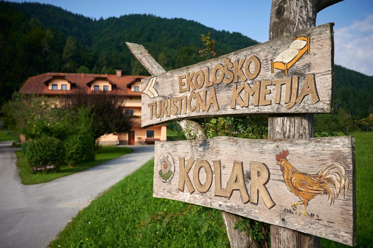 Tourist farm Kolar Villa Ljubno Exteriör bild