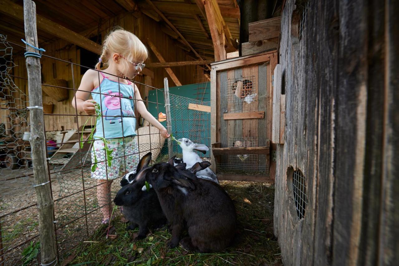 Tourist farm Kolar Villa Ljubno Exteriör bild