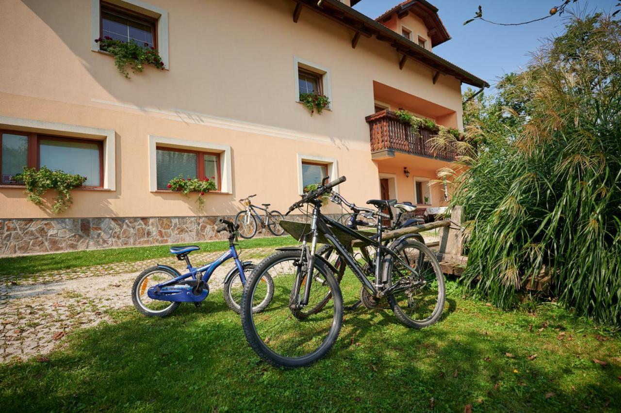 Tourist farm Kolar Villa Ljubno Exteriör bild