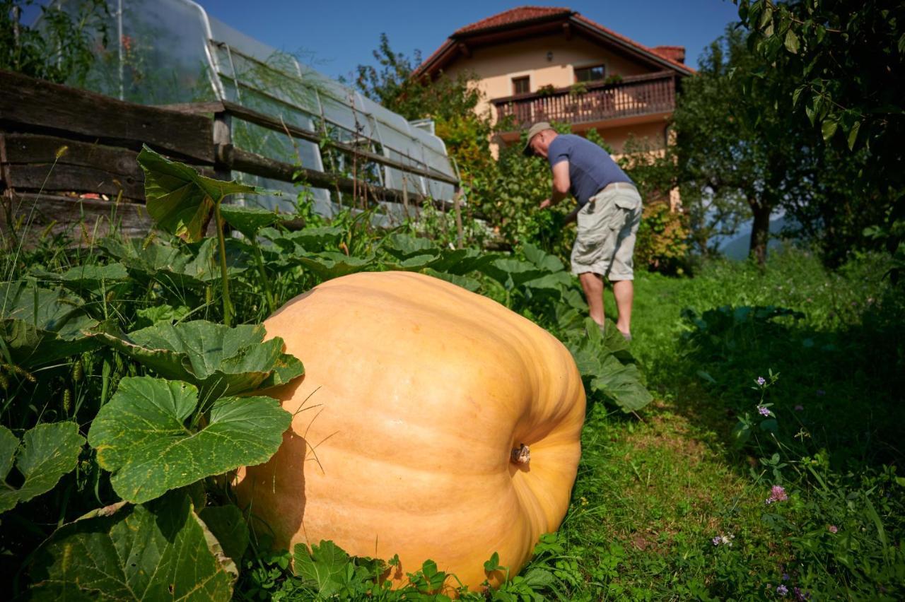 Tourist farm Kolar Villa Ljubno Exteriör bild