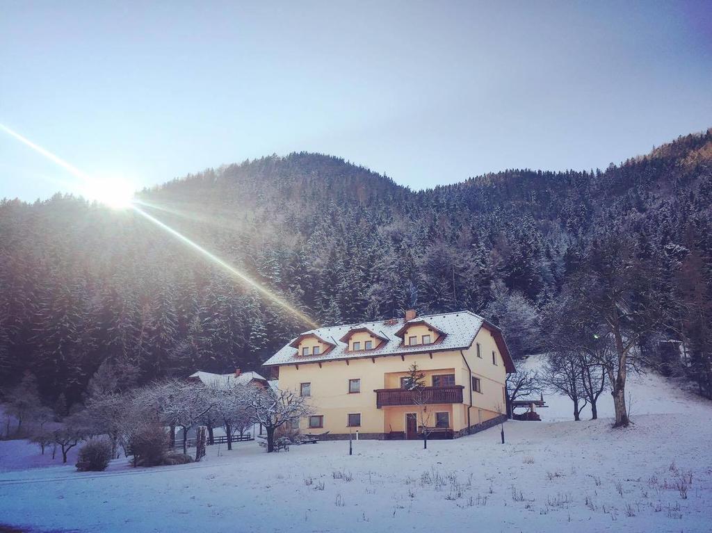 Tourist farm Kolar Villa Ljubno Exteriör bild